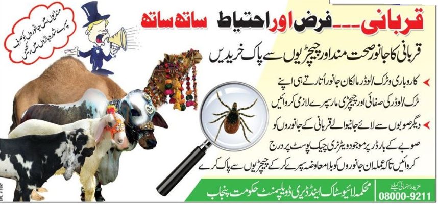 Protection Of Sacrificing Animals On Eid ul Azha In Pakistan