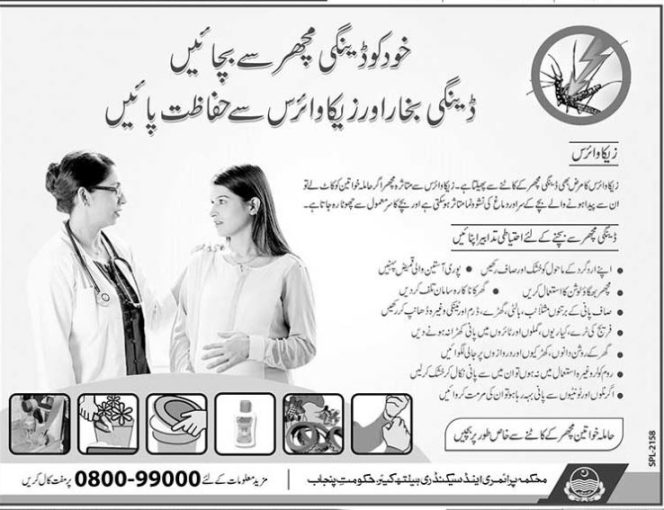 Zika Virus Dengue Fever Protection Methods In Urdu