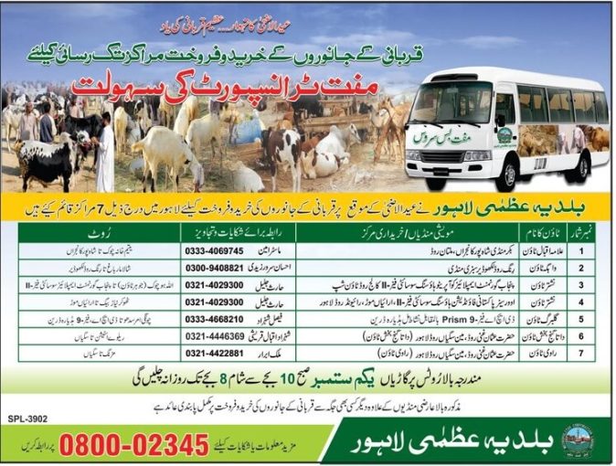 eid ul azha animals for sale In Lahore