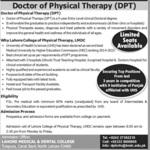 Doctor Of Physical Therapy DPT Program Scope Details Information Salary
