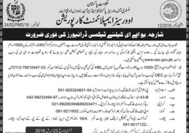 Overseas Employment Corporation Jobs 2018 For Drivers In Sharjah And UAE Apply Online