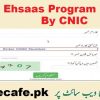 786 Check Online 2023 By CNIC Ehsaas Tracking