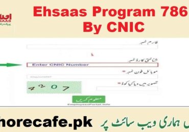 786 Check Online 2024 By CNIC Ehsaas Tracking