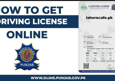 E Driving Licence Punjab DLIMS Tracking