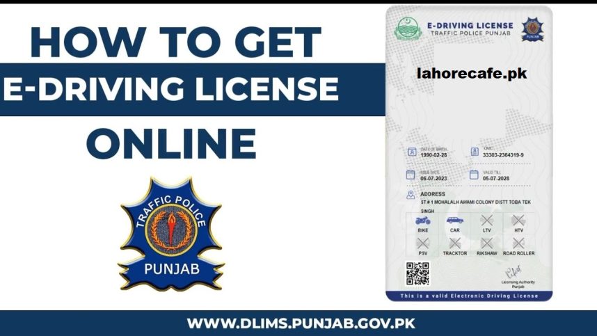 E Driving Licence Punjab DLIMS Tracking