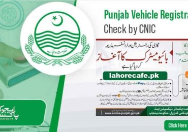 Vehicle Registration Check Punjab By CNIC Online